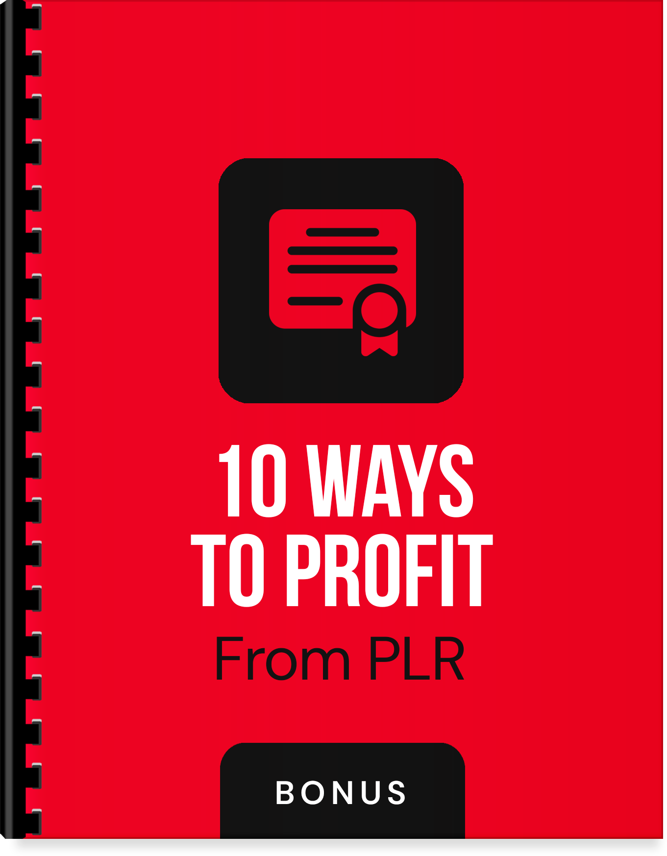 b4-10-ways-to-profit-from-plr