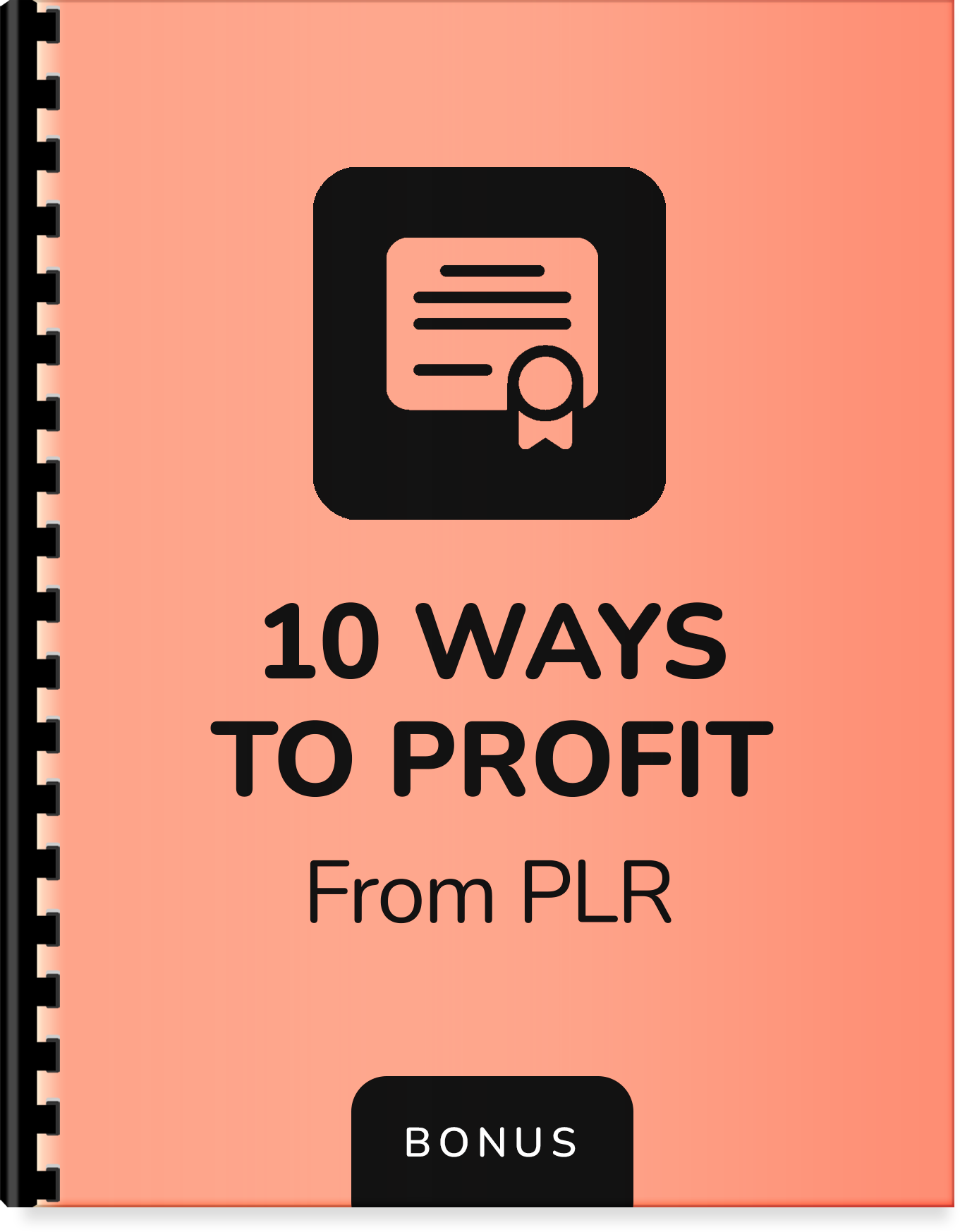 b4-10-ways-to-profit-from-plr