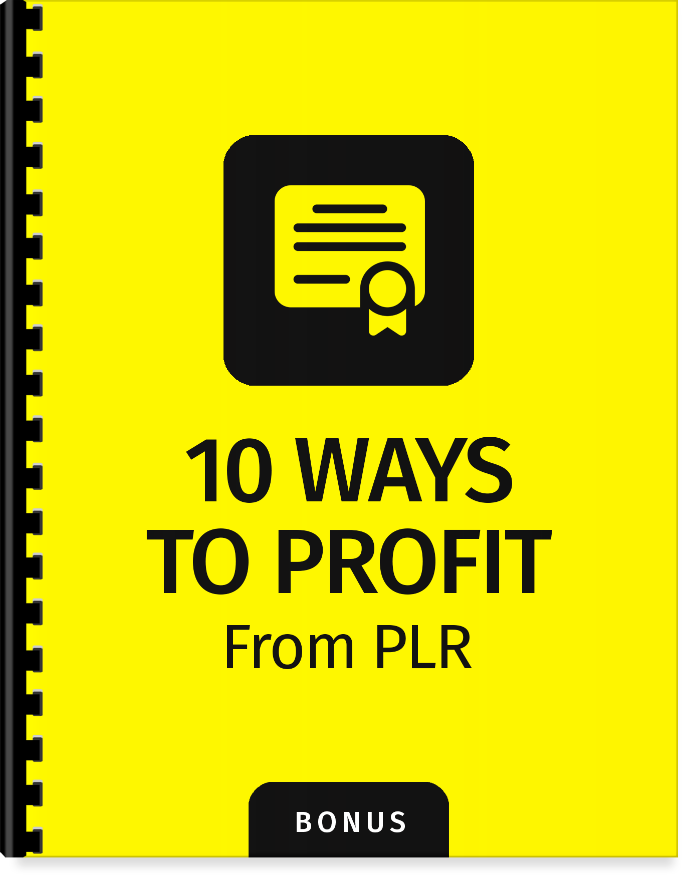 b4-10-ways-to-profit-from-plr