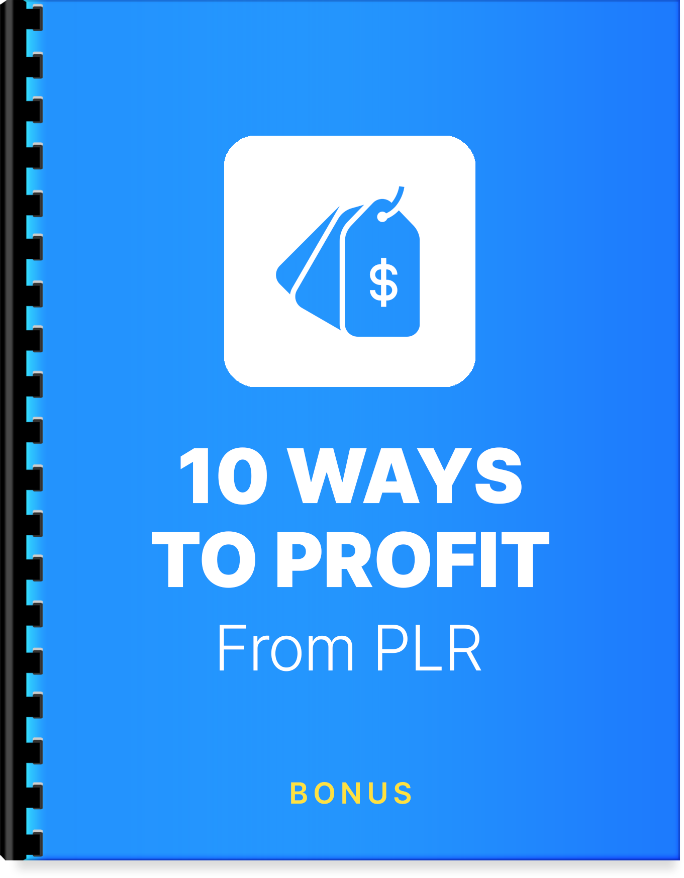 b4-10-ways-to-profit-from-plr